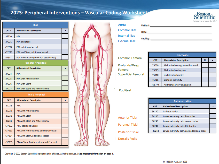 2023 Cpt Coding For Lower Extremity Angiogram And Revascularization Pre Authorization Pre Auth 9185